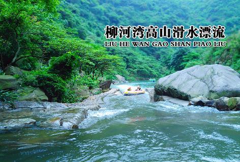 小猫钓鱼正版下载中文版
