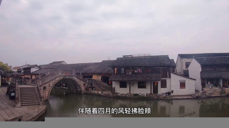 上海普陀公园多姿多彩